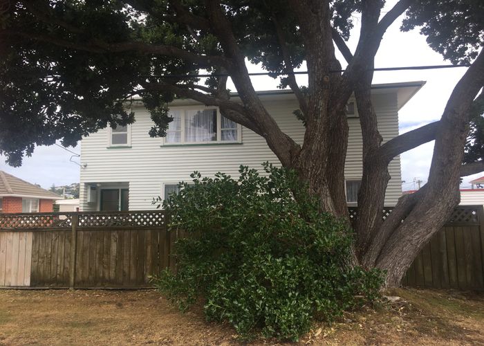  at Top/28 Camperdown Rd, Miramar, Wellington, Wellington