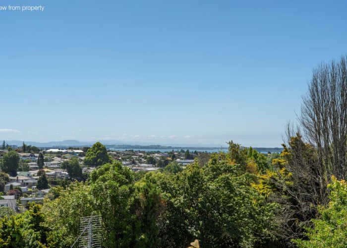  at 43B Brookfield Terrace, Brookfield, Tauranga, Bay Of Plenty