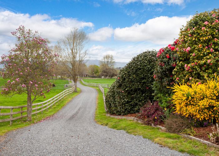  at 115 Gunn Road, Matamata, Matamata