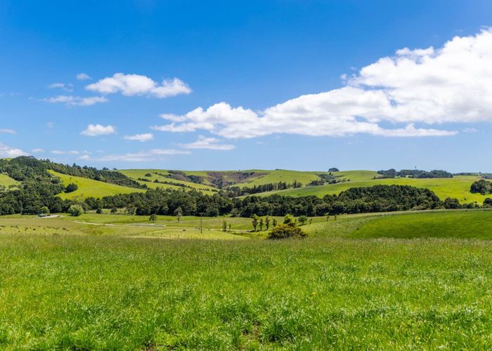  at 219 Tapu Bush Road, Wellsford, Rodney, Auckland