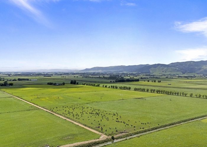  at 145 Campbells Road, Opiki, Horowhenua, Manawatu / Whanganui