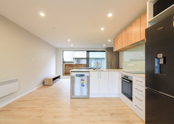  at 5/64 Owen Street, Newtown, Wellington