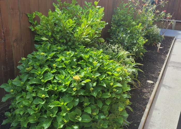  at 5a Glenfield road, Owhata, Rotorua, Bay Of Plenty