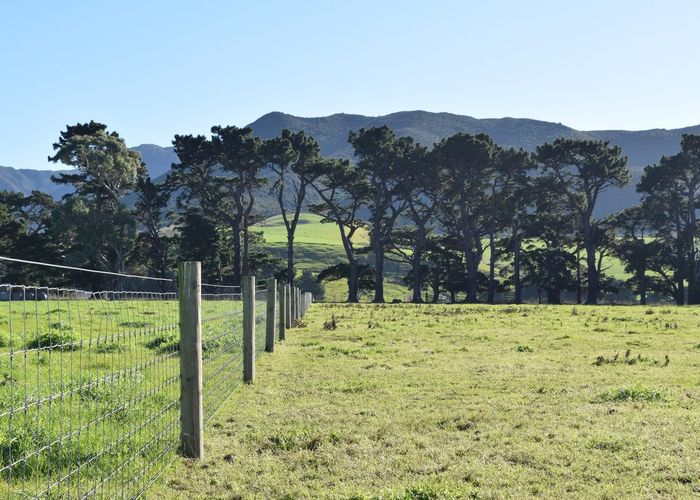  at 523 Western Lake Road, Western Lake, Featherston