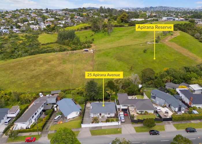  at 25 Apirana Avenue, Glen Innes, Auckland City, Auckland