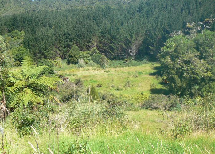  at 0 Takahue Saddle Rd, Broadwood, Far North, Northland