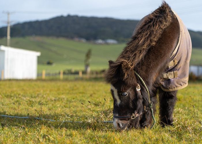  at 23 Milton Street, Riverton, Southland, Southland