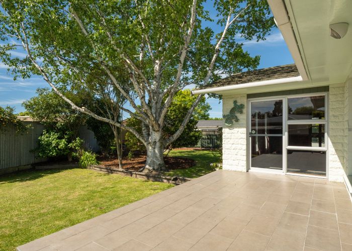  at 19A Newbourne Crescent, Redwoodtown, Blenheim