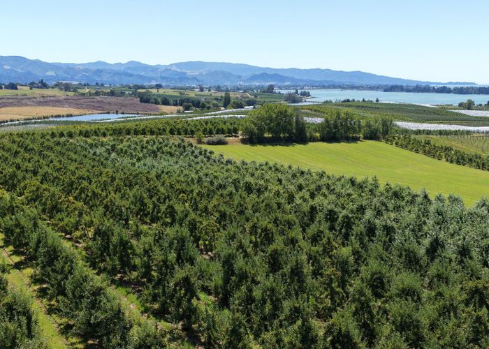  at Lot 1/86 Eden Road, Tasman, Tasman, Nelson / Tasman