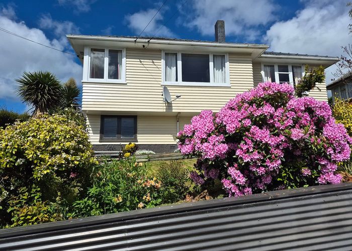  at 185 Brockville Road, Brockville, Dunedin, Otago