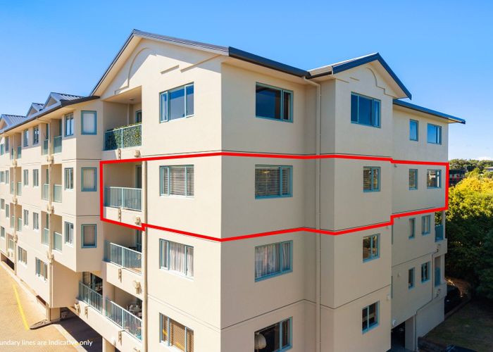  at 15/3b Harrison Road, Mount Wellington, Auckland City, Auckland