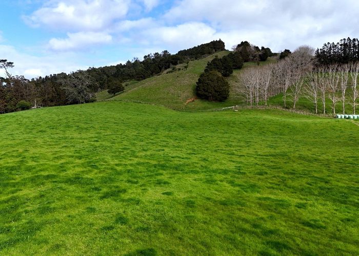  at 1149 Whangaripo Valley Road, Matakana, Rodney, Auckland