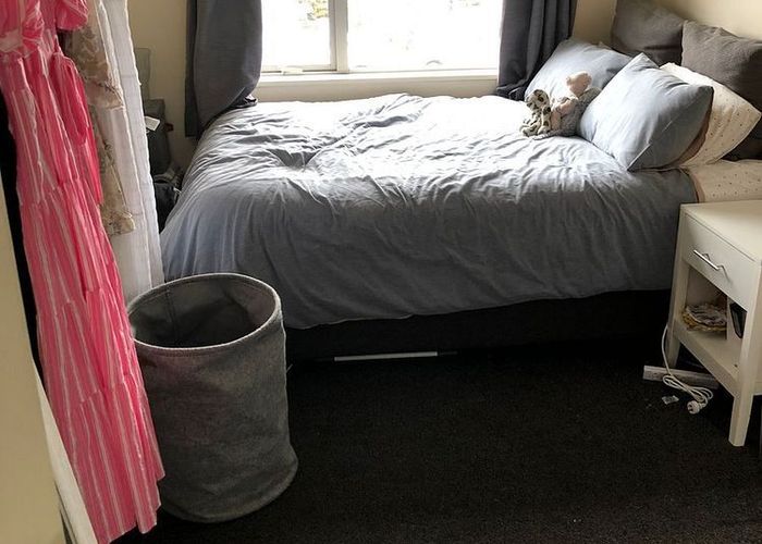  at 88 Creyke Road, Ilam, Christchurch City, Canterbury