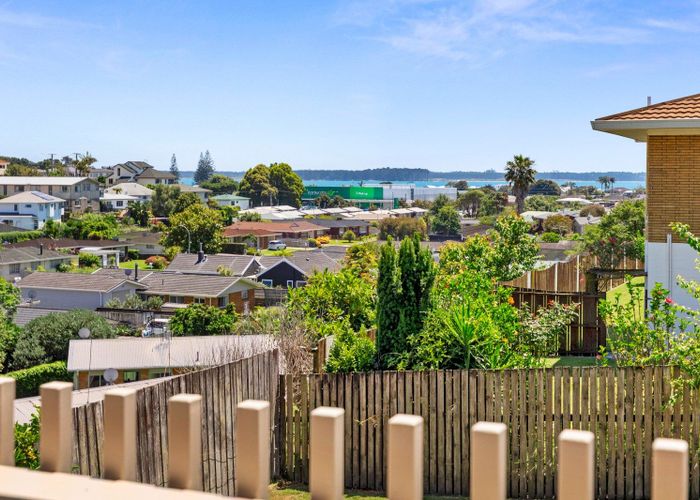  at 102 Pillans Road, Otumoetai, Tauranga, Bay Of Plenty