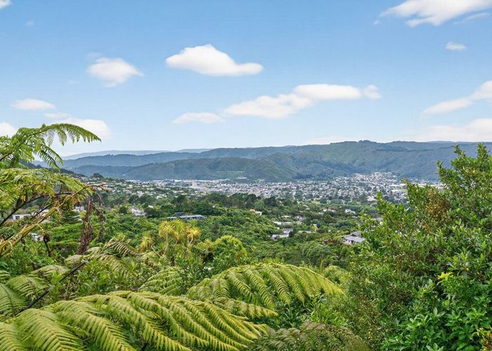  at 250 Park Road, Belmont, Lower Hutt, Wellington