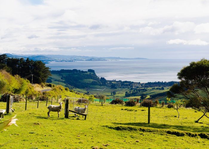  at 162 Purakaunui Road, Mihiwaka, Port Chalmers