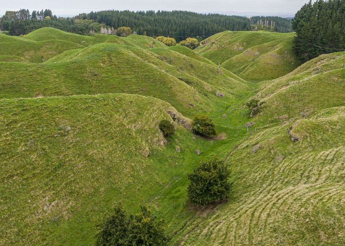  at 81 Kaiwaka Road, Tangoio, Hastings, Hawke's Bay