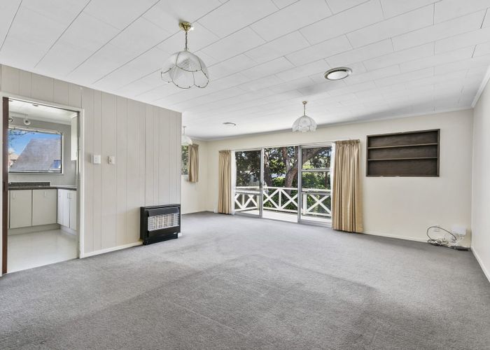  at 70 Kings Crescent, Hutt Central, Lower Hutt