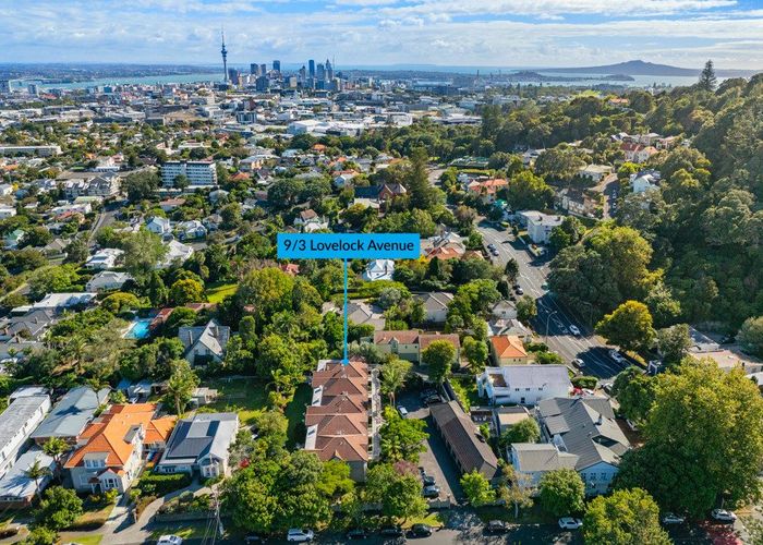  at 9/3 Lovelock Avenue, Mount Eden, Auckland City, Auckland