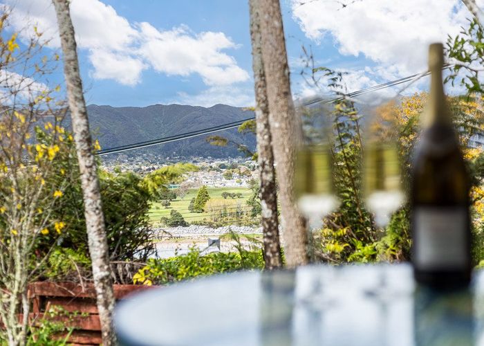  at 25 Palm Grove, Belmont, Lower Hutt, Wellington