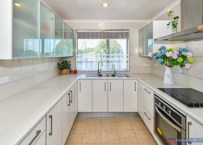  at 19 Amarillo Place, Manurewa, Auckland