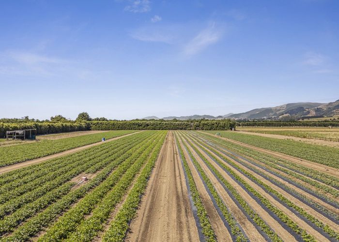  at 444 Paton Road, Hope, Tasman, Nelson / Tasman