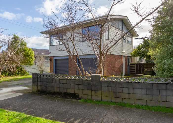 Free property data for 139 Epuni Street, Epuni, Lower Hutt homes.co.nz