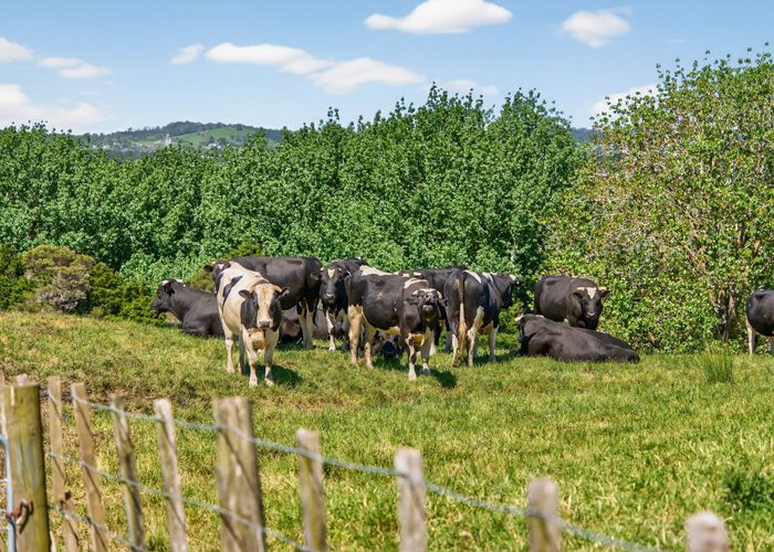  at 136 Ranganui Road, Kaiwaka, Kaipara, Northland