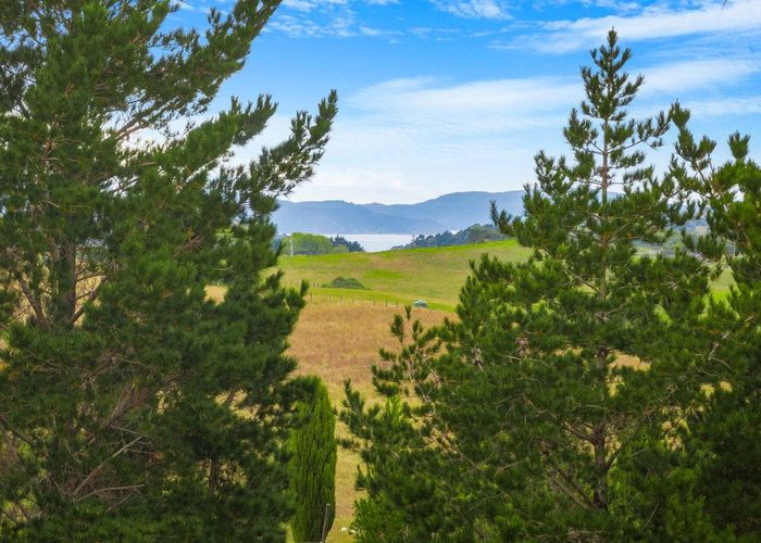  at Matakana, Rodney, Auckland