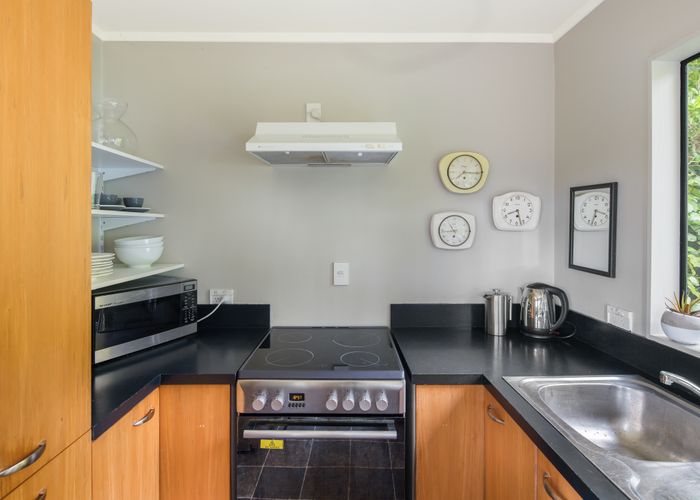  at 66E Balfour Street, Mornington, Wellington