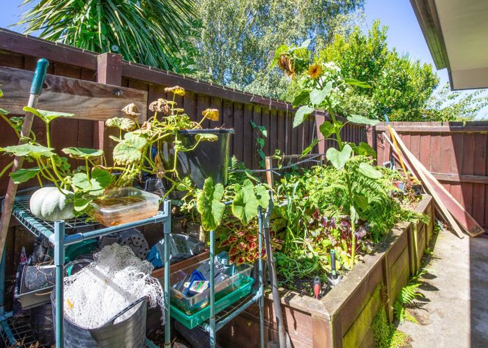  at 31A Dalkeith Street, Hoon Hay, Christchurch City, Canterbury