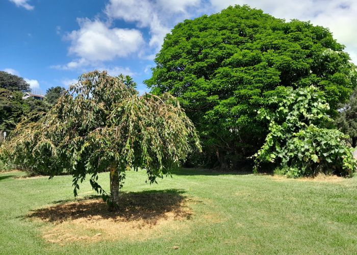  at 4 Cemetery Road, Kuaotunu, Whitianga