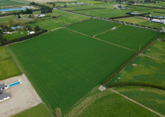  at 955 Springs Road, Prebbleton, Prebbleton