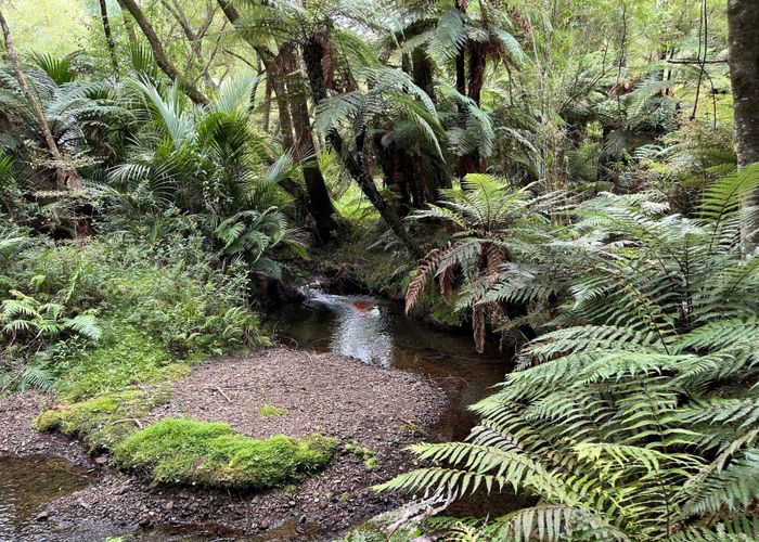  at 0 Waioeka Pa Road, Otara, Opotiki