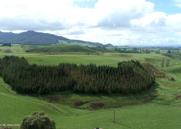  at 230 Waimanu Road, Pukeatua, Waipa, Waikato