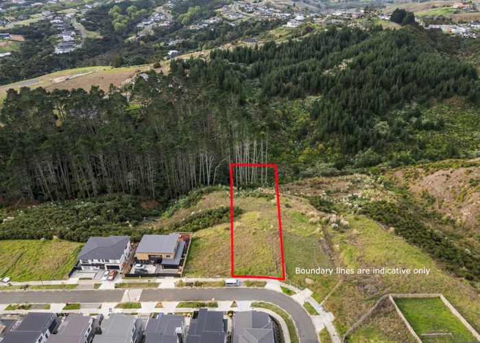  at 24 Bremner Ridge Street, Flat Bush, Manukau City, Auckland