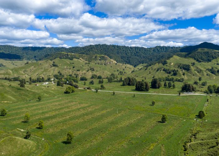  at 1221 Waitewhena Road, Taumarunui, Ruapehu, Manawatu / Whanganui