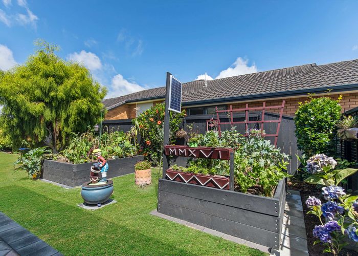  at 19 Carrington Drive, Papamoa Beach, Papamoa
