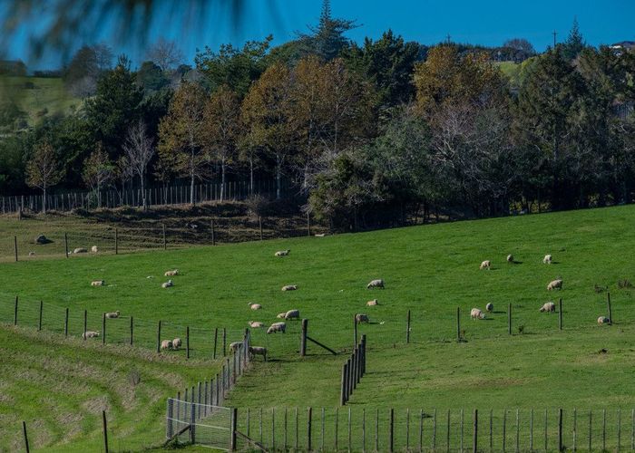  at 81A Pukekohe East Road, Pukekohe, Franklin, Auckland