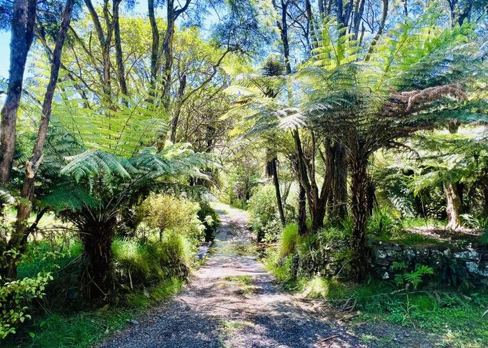  at 877 Tiki Quarry Road, Preece Point, Coromandel