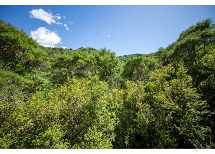  at 39 Lookout Road, Peel Forest, Geraldine, Timaru, Canterbury