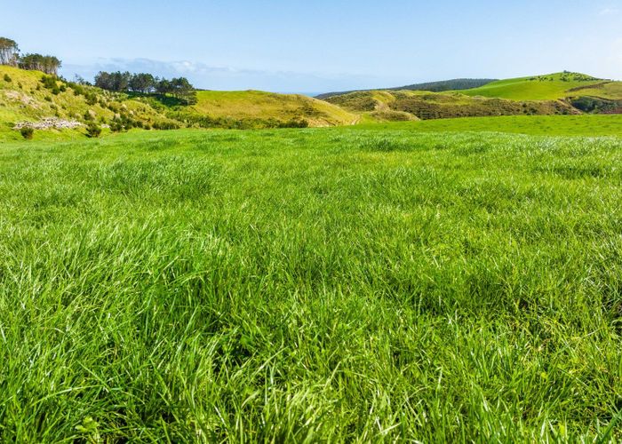  at 780 Te Maire Road, Te Kopuru, Kaipara, Northland