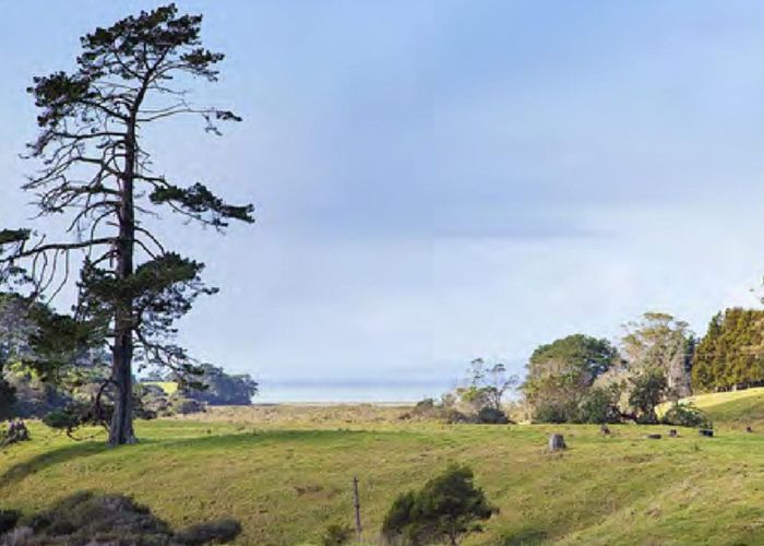  at 2938 Awhitu Road, Waiuku, Franklin, Auckland