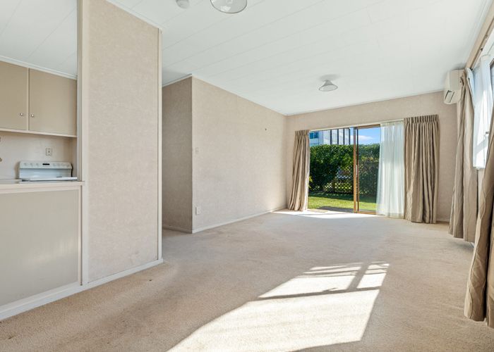  at 52D Third Avenue, Tauranga, Tauranga