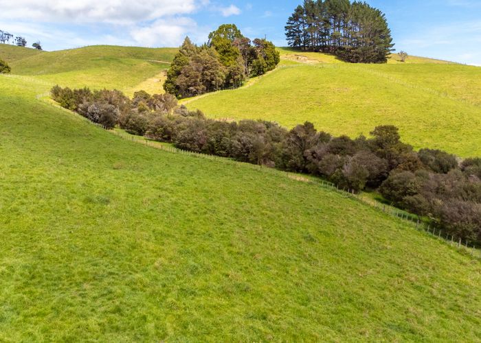  at 608B West Coast Road, Warkworth, Rodney, Auckland