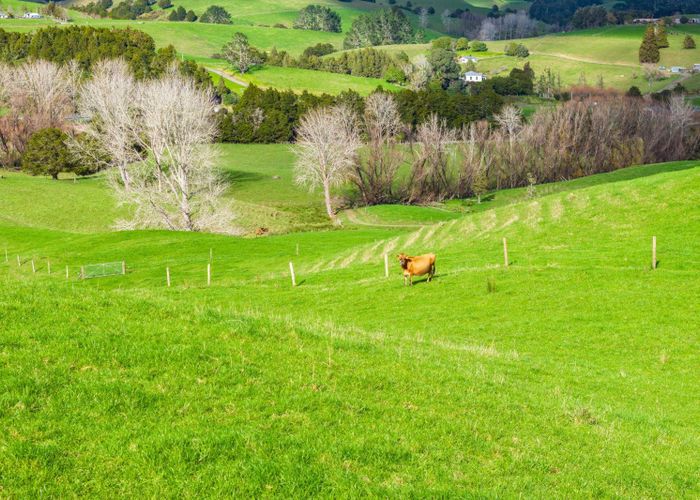  at Lots 2 and 5 Leslie Road, Maungakaramea, Whangarei, Northland