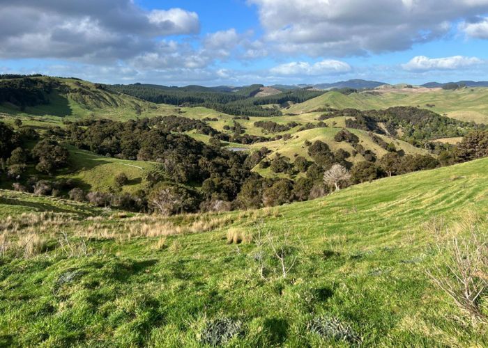  at 7801 Route 52, Dannevirke, Tararua, Manawatu / Whanganui