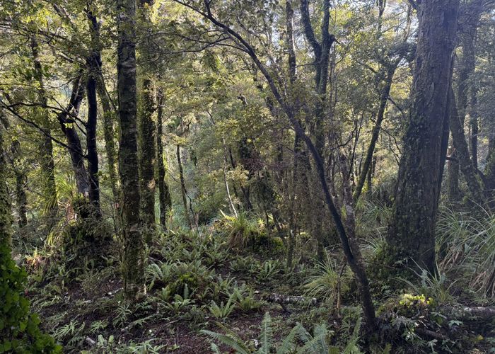  at 0 Fitzgerald Street, Haast, Westland, West Coast