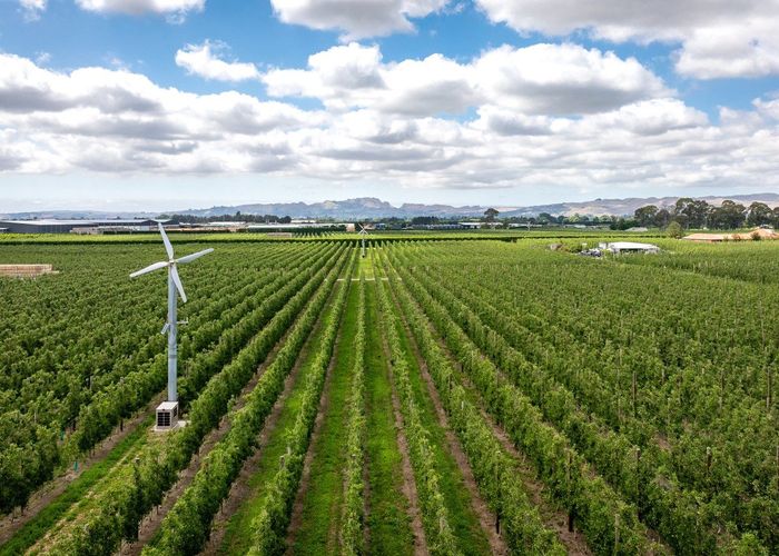  at 116 and 118 Stock Road, Bridge Pa, Hastings, Hawke's Bay