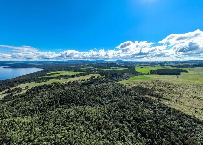  at 331 Kawakawa Road, Lake Taupo, Taupo, Waikato